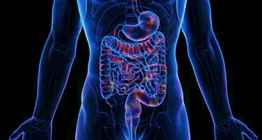 Gastro-enterologie