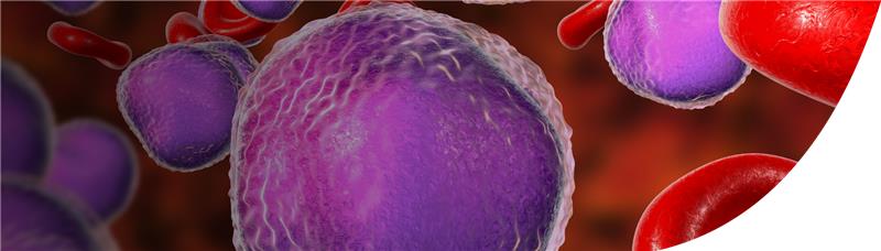 leukemie cellen en bloedcellen in bloedvat