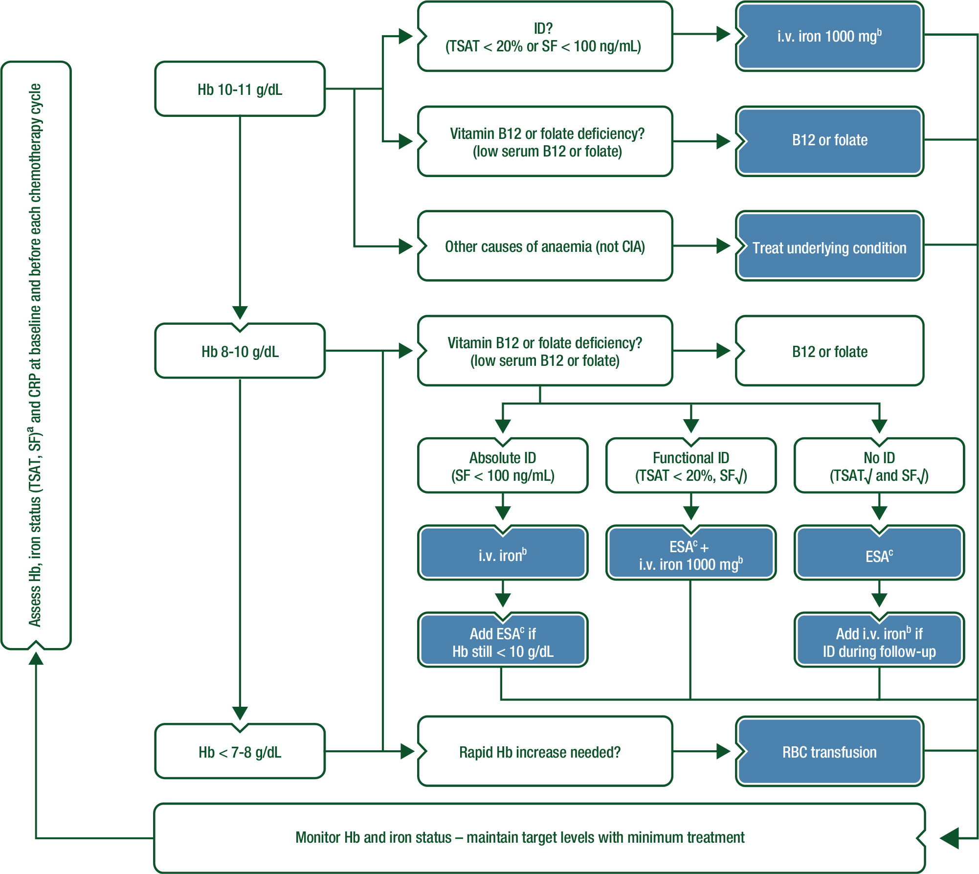 Management of chemotherapy-induced anaemia in patients with solid or haematol. malignancies
