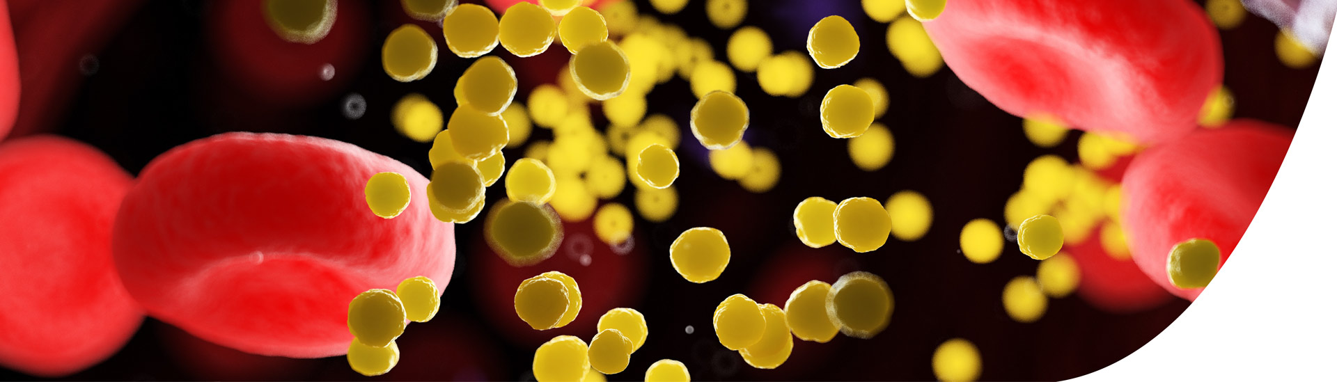 Gele cholesterol molecule modellen in de menselijke bloedbaan