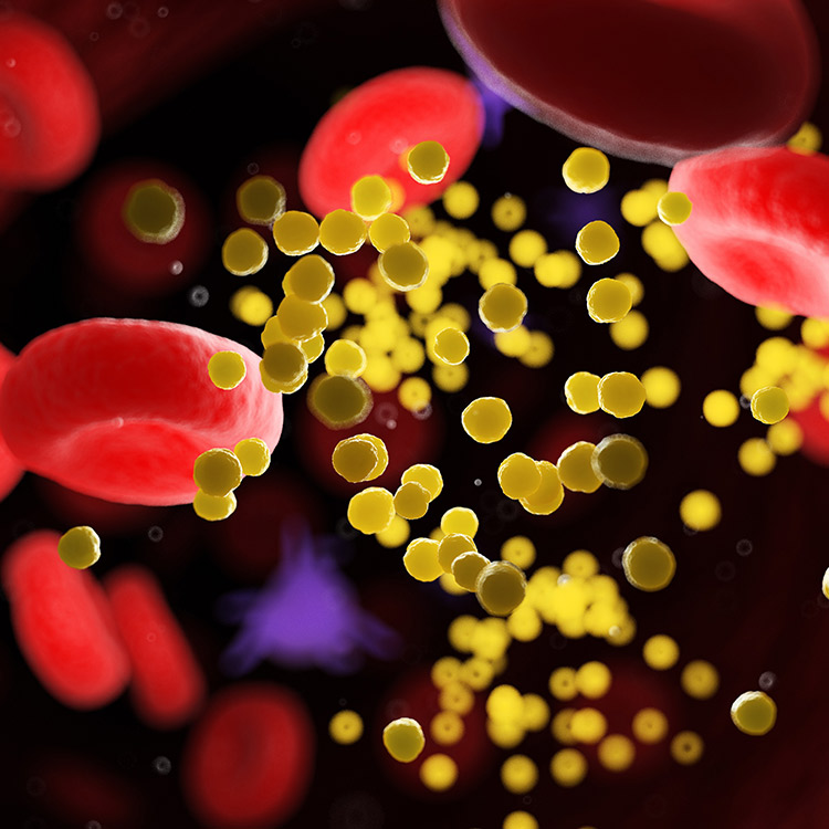 Gele cholesterol molecule modellen in de menselijke bloedbaan