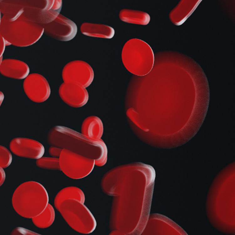 Red blood cells