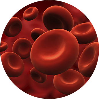 bloedplaatjes in een bloedvat