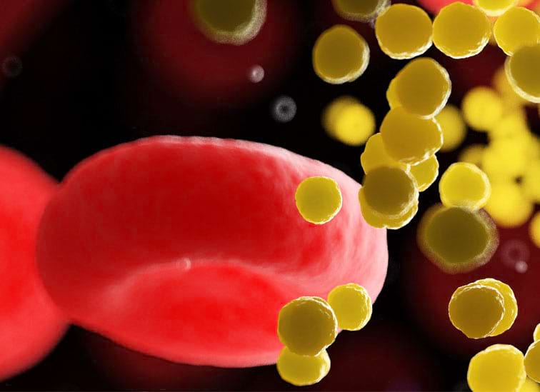 cardiovasculair-home